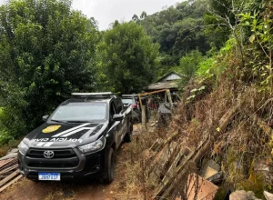 Foto : Polícia Civil / Divulgação