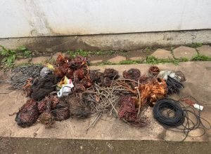 Foto: Polícia Civil