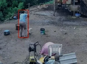 Foto: Câmera de segurança / Reprodução