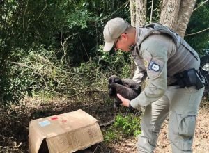 Foto: Brigada Militar