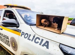 Foto: Brigada Militar