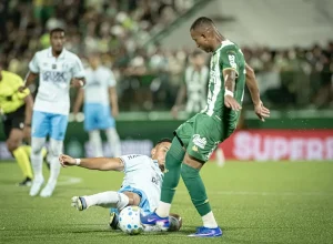 Foto : RICHARD FERRARI / THENEWS2 / ESTADÃO CONTEÚDO / CP