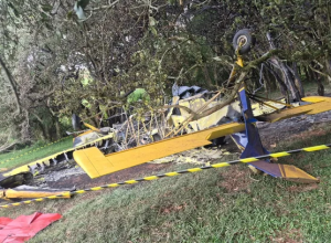 Foto: Polícia Civil / Divulgação